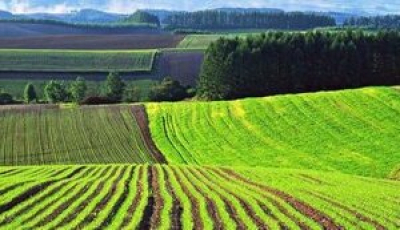 Аграрії з деокупованих територій зможуть отримати субсидію на землю з 1 травня
