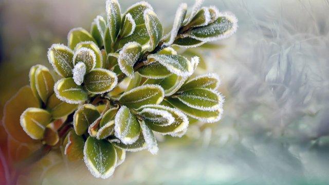 17 февраля: Узнайте, какой праздник отмечается сегодня и что особенного в этом дне.